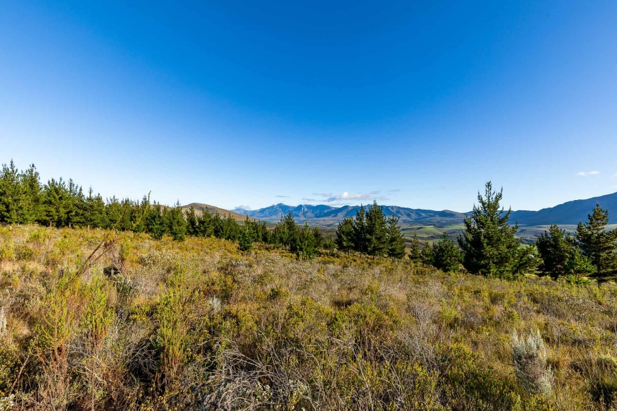 0 Bedroom Property for Sale in Heidelberg Rural Western Cape